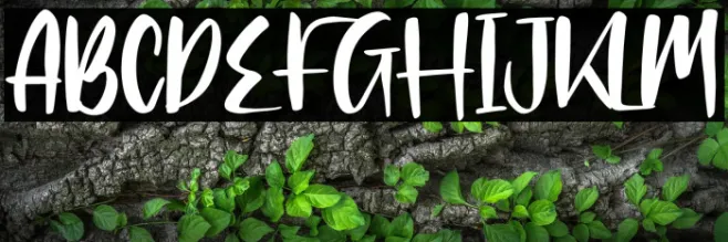 Clarlisse Dawson Example 2