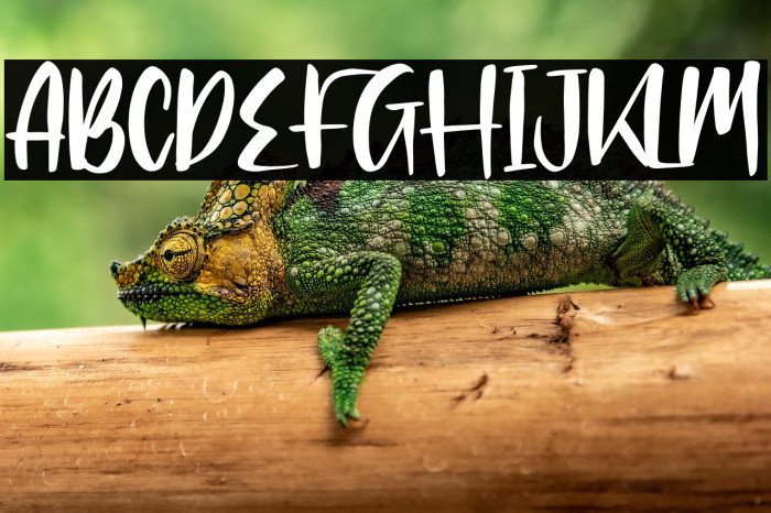 Clarlisse Dawson Example 3