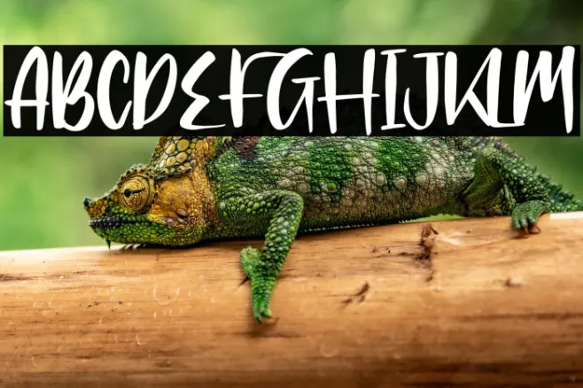 Clarlisse Dawson Example 3