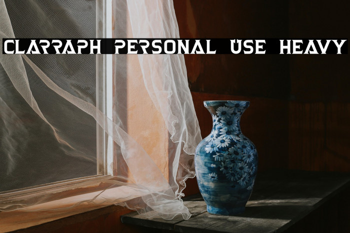 Clarraph Personal Use Heavy Example 1