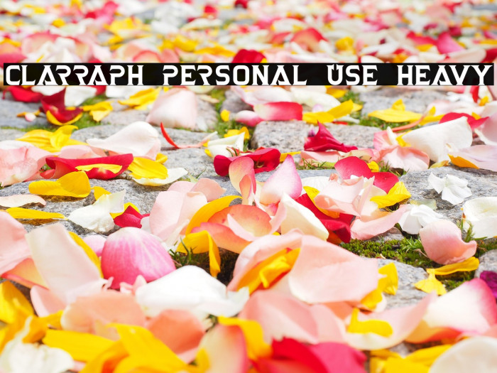 Clarraph Personal Use Heavy Example 2