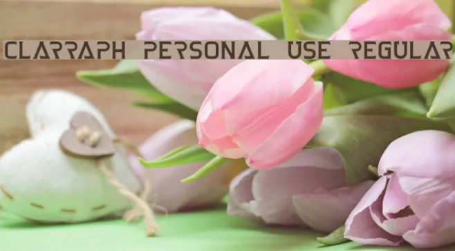 Clarraph Personal Use Regular Example 3