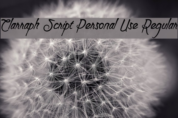 Clarraph Script Personal Use Regular Font examples
