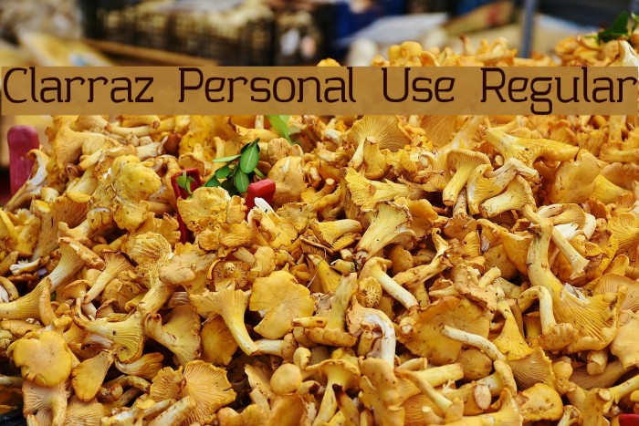 Clarraz Personal Use Regular Example 3