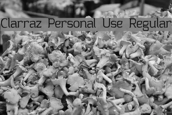 Clarraz Personal Use Regular Font examples