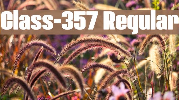 Class-357 Regular Font examples