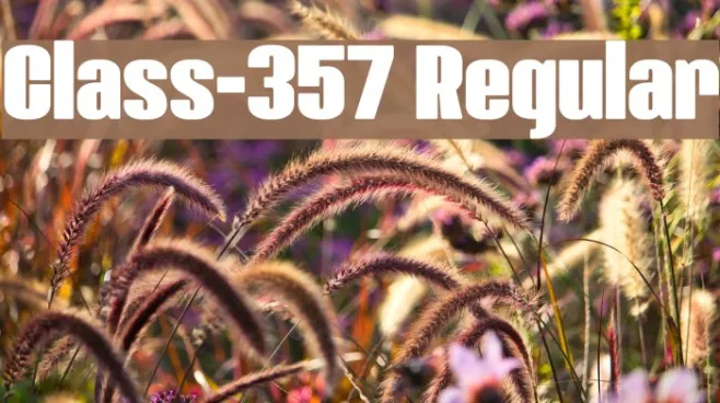 Class-357 Regular Example 1