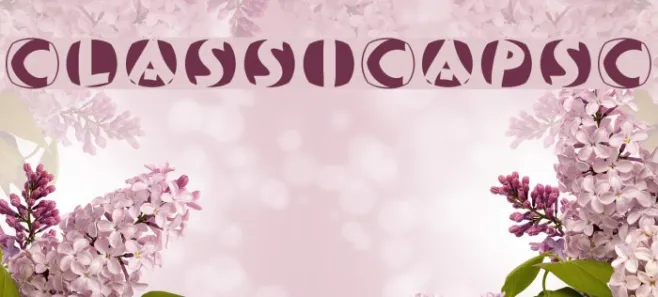 ClassiCapsC Example 1