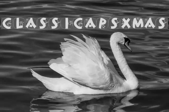 ClassiCapsXmas خط examples