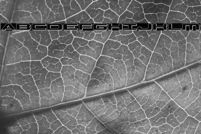 Classic Cobra 3D Font examples