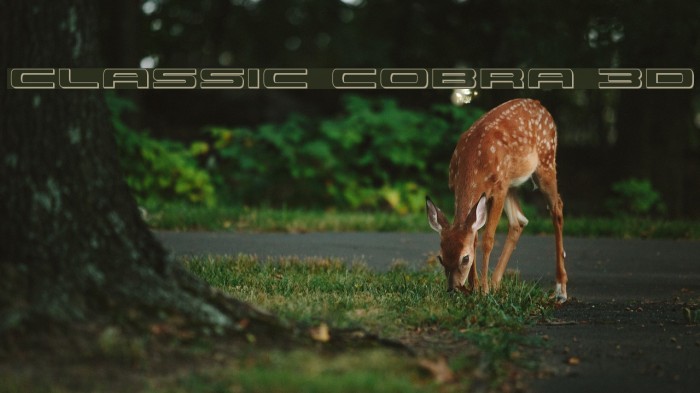 Classic Cobra 3D Example 1