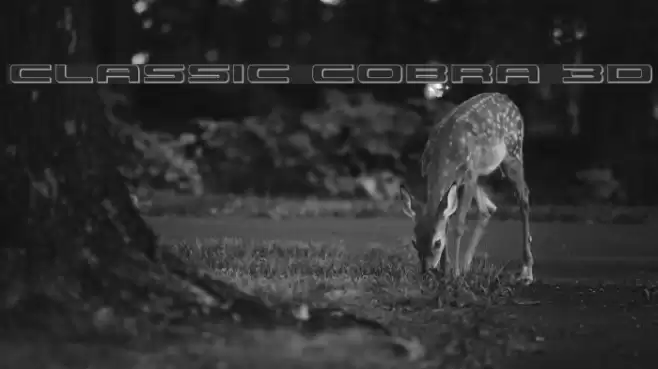 Classic Cobra 3D Font examples