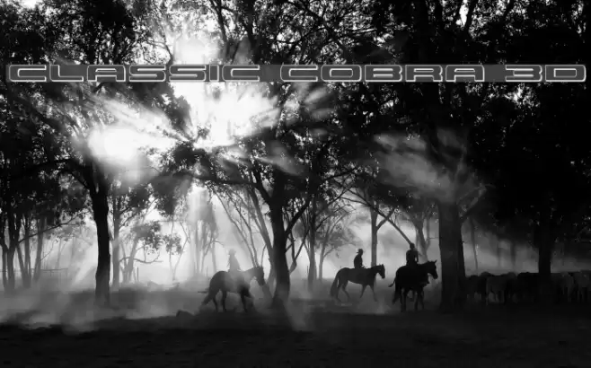 Classic Cobra 3D Font examples