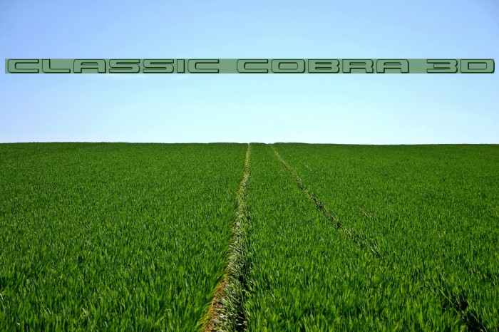 Classic Cobra 3D Example 3