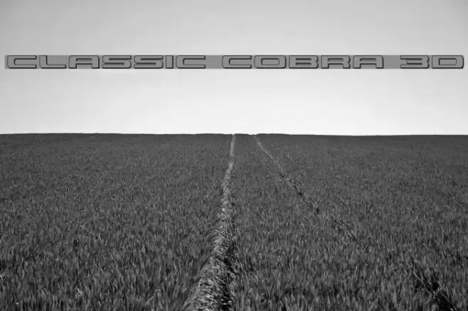 Classic Cobra 3D Font examples