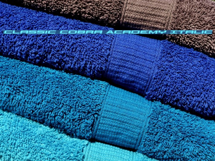 Classic Cobra Academy Italic Example 3