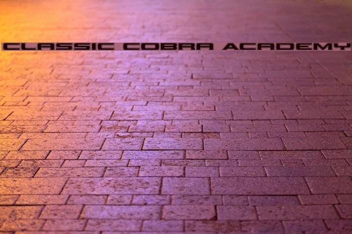 Classic Cobra Academy Font examples