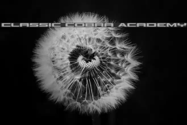 Classic Cobra Academy Font examples
