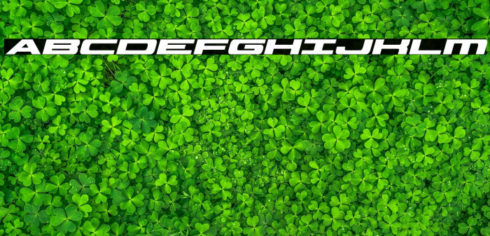 Classic Cobra Bold Italic Example 3