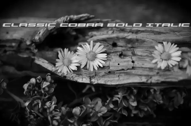 Classic Cobra Bold Italic Font examples