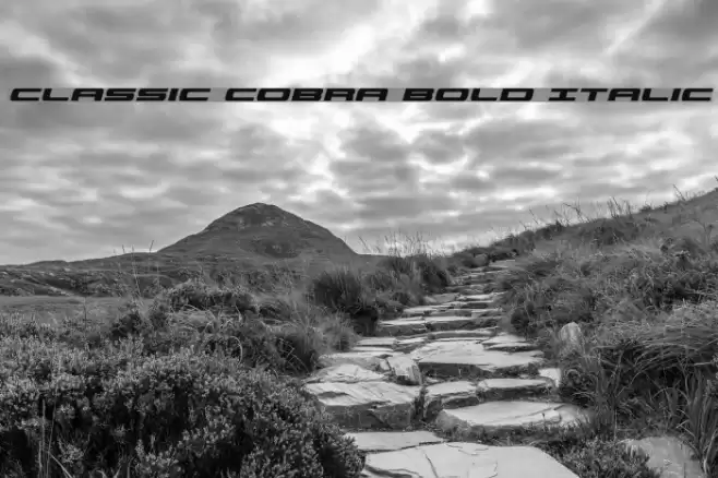 Classic Cobra Bold Italic Font examples