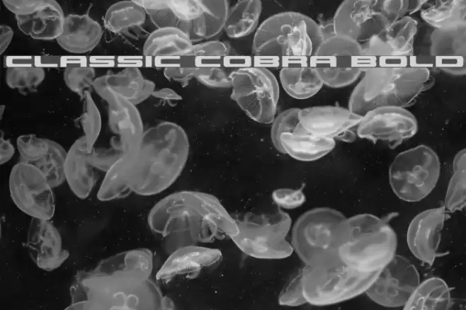 Classic Cobra Bold Font examples