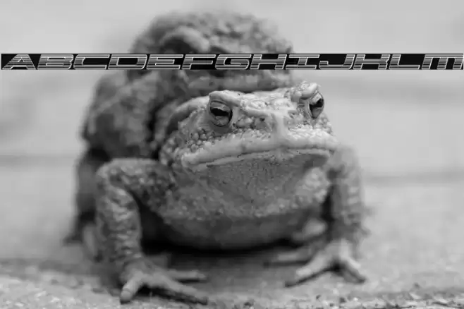 Classic Cobra Chrome Italic Font examples