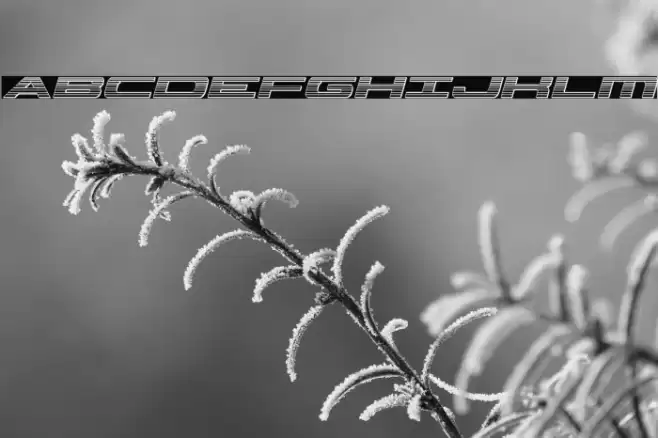 Classic Cobra Chrome Italic Font examples