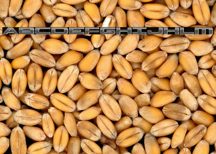 Classic Cobra Chrome Example 2