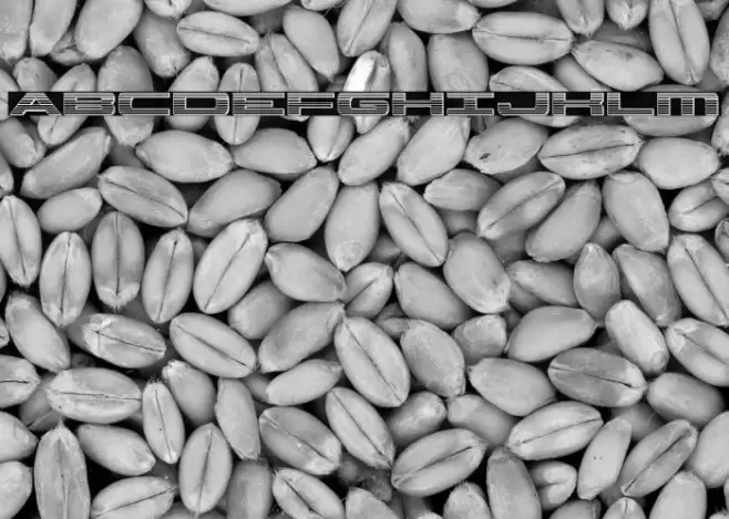 Classic Cobra Chrome Font examples