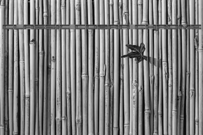 Classic Cobra Chrome Font examples