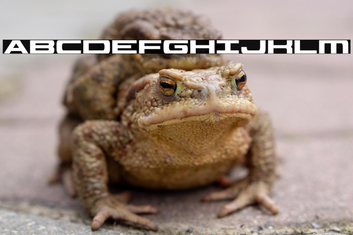 Classic Cobra Condensed Example 2