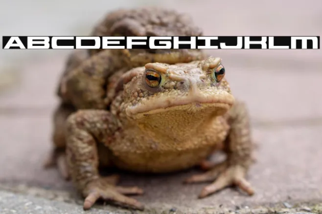 Classic Cobra Condensed Example 2