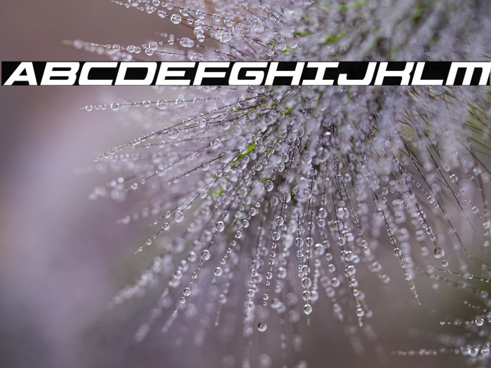 Classic Cobra Extra-Condensed Italic Example 3