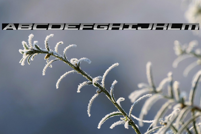 Classic Cobra Gradient Italic Example 2