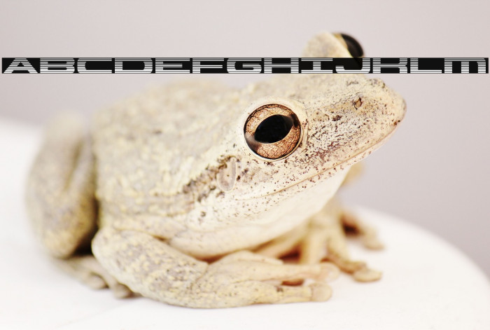 Classic Cobra Gradient Example 2