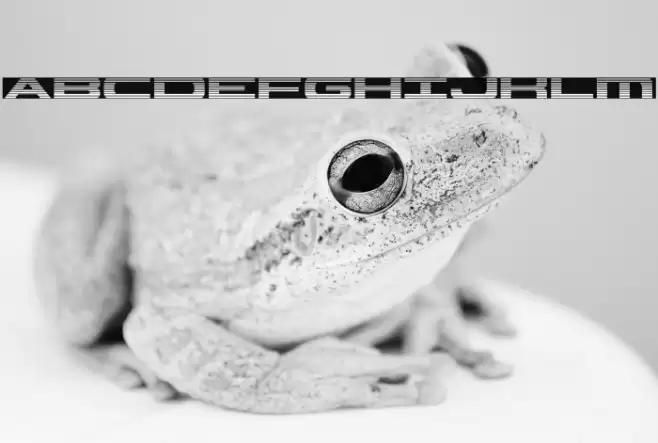 Classic Cobra Gradient Font examples