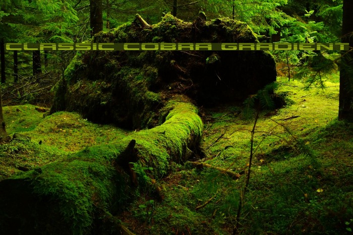 Classic Cobra Gradient Font examples