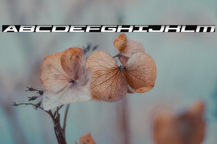 Classic Cobra Halftone Italic Example 3