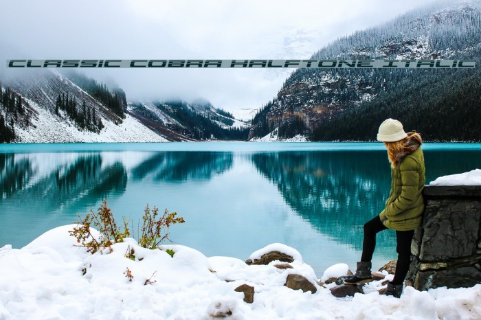 Classic Cobra Halftone Italic Example 2