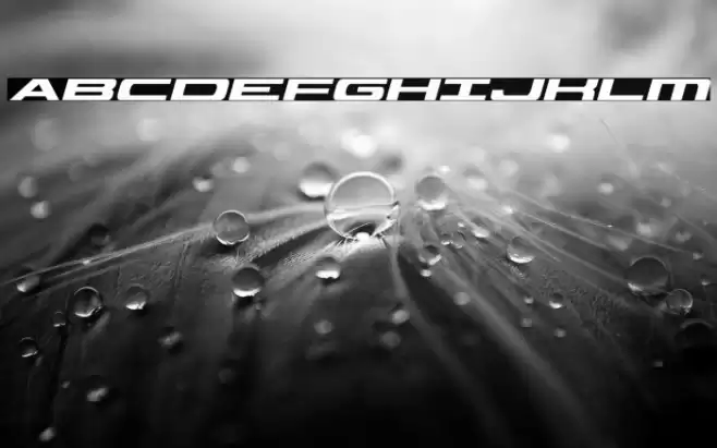 Classic Cobra Italic Font examples