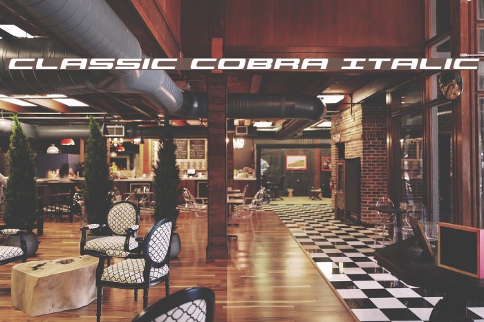 Classic Cobra Italic Example 2