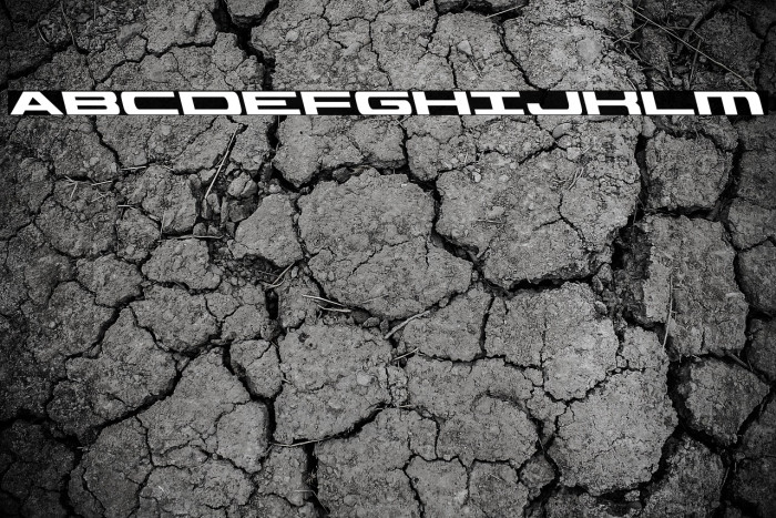 Classic Cobra Leftalic Example 3