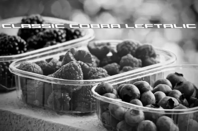 Classic Cobra Leftalic Font examples