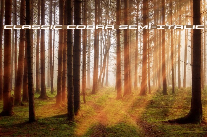 Classic Cobra Semi-Italic Example 2