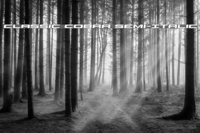 Classic Cobra Semi-Italic Font examples