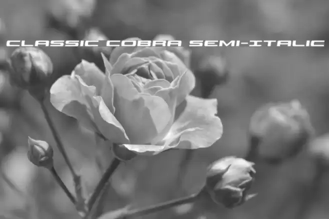 Classic Cobra Semi-Italic Font examples