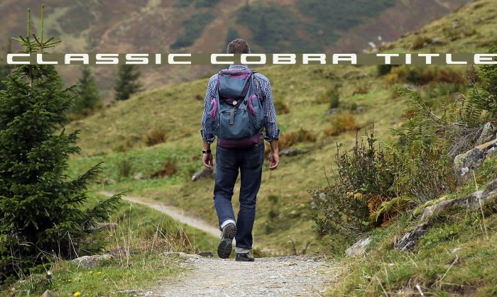 Classic Cobra Title Font examples