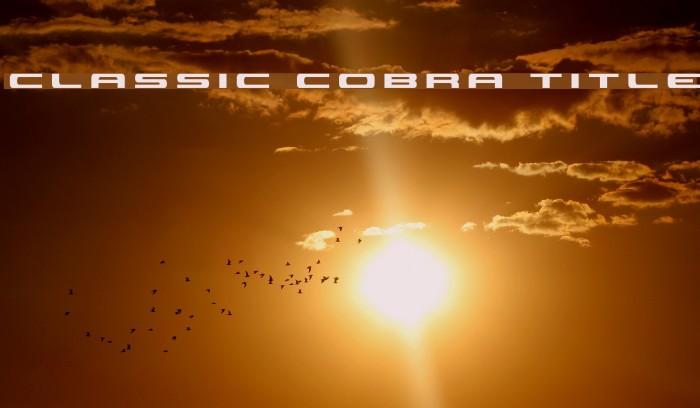 Classic Cobra Title Font examples