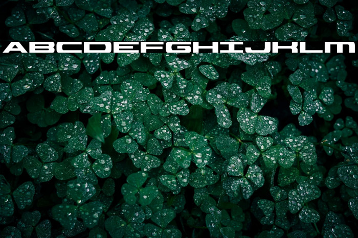 Classic Cobra Example 1